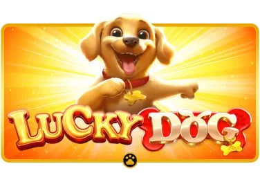 Privacy and account safety reading for bet 4999 lucky slots users